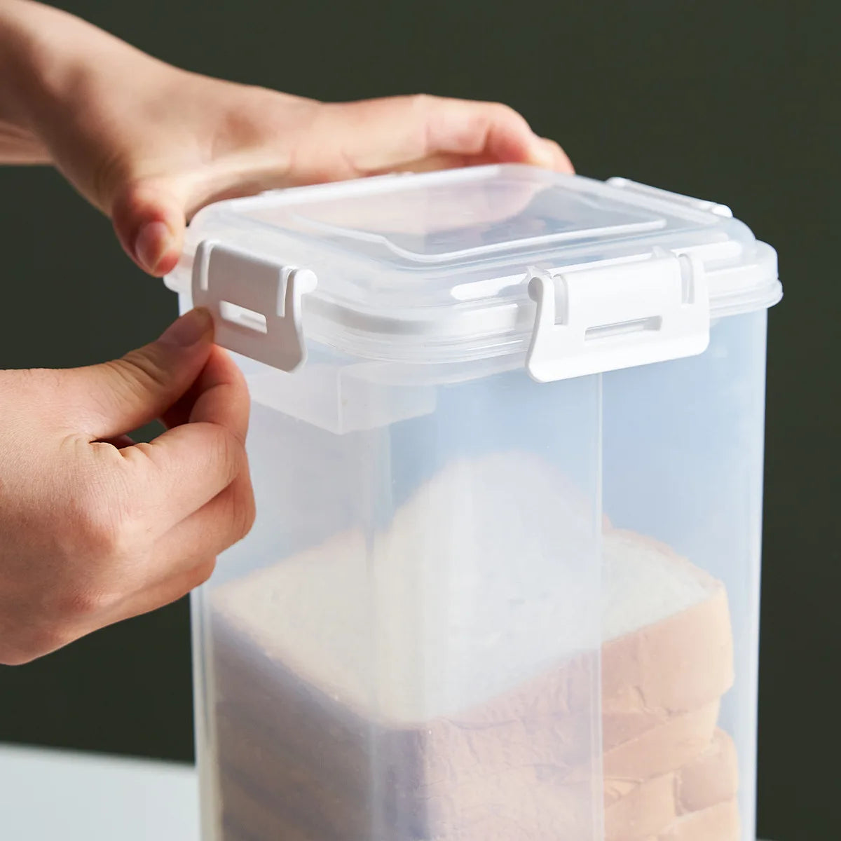 Clear Bread Loaf Container